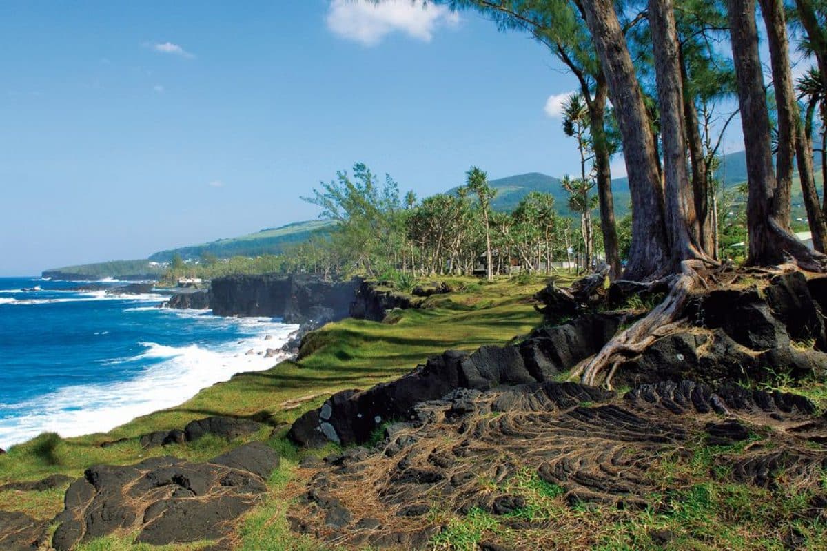 sud sauvage la reunion