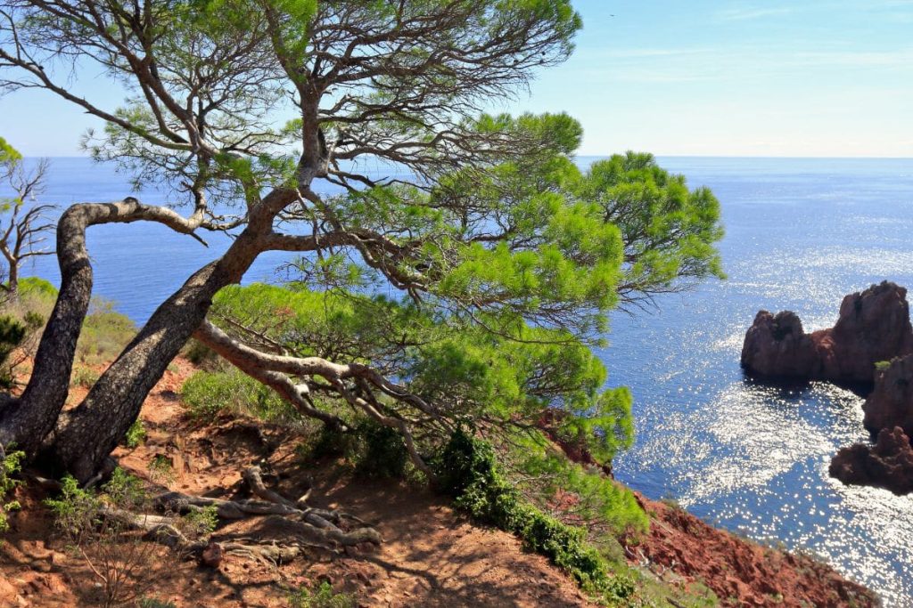 5 astuces pour préparer votre séjour en camping dans le var