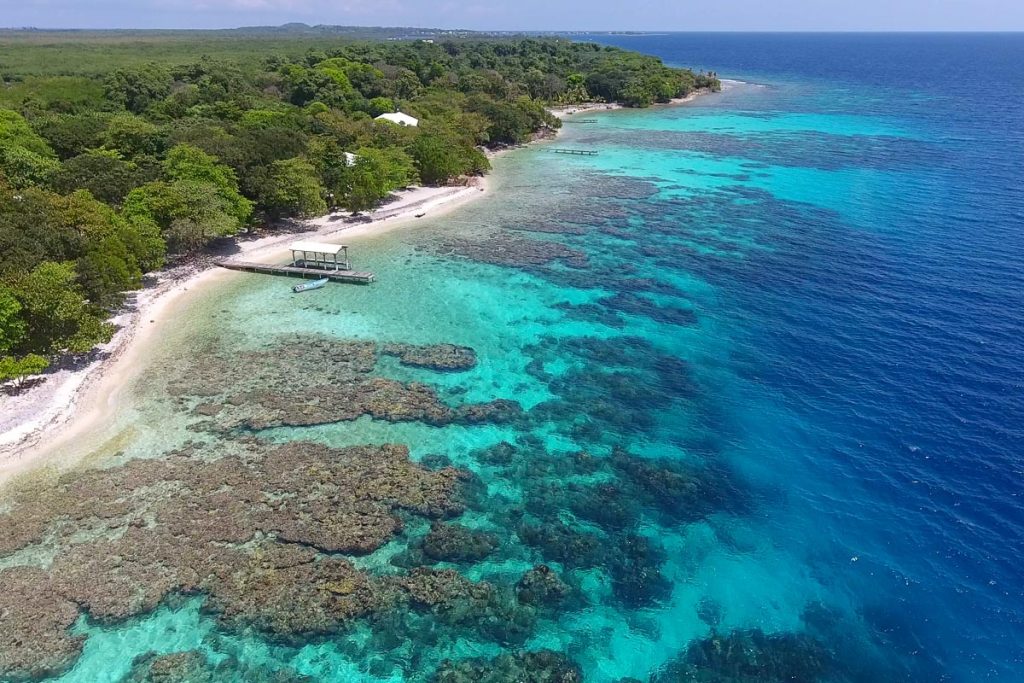 gorgeous,coral,reef,aerial,photos,taken,in,utila,honduras,and